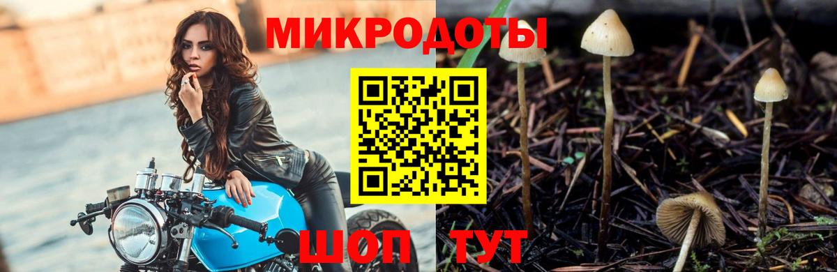 продажа наркотиков  Вход с VPN  Усолье-Сибирское  Псилоцибиновые грибы мухоморы 